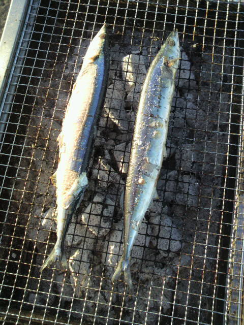 2012100816070000.jpg