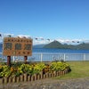★北海道2012★ 洞爺湖到着！野生の鹿、白鳥の画像
