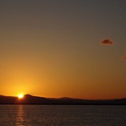 画像 今年最後のBBQ の記事より 12つ目