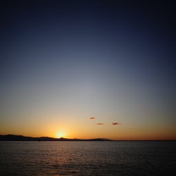 画像 今年最後のBBQ の記事より 11つ目