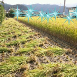 ドゥのハナウタｂｌｏｇ☆-20121009_205845.jpg
