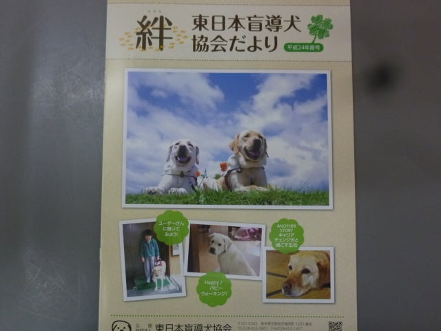 キャリアチェンジ犬 埼玉県久喜市 シロー動物病院のブログ
