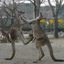 ブログ投稿画像