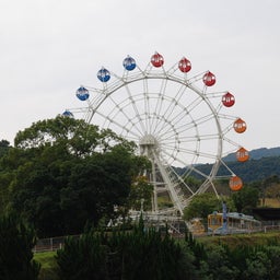 ☆o○*サ～ラ*o○☆ﾟの写真日記-65