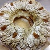 今月のケーキ　♪の画像