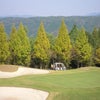 20th Anniversary ロングランオープンコンペの画像