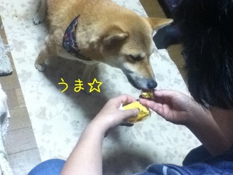 photo:04