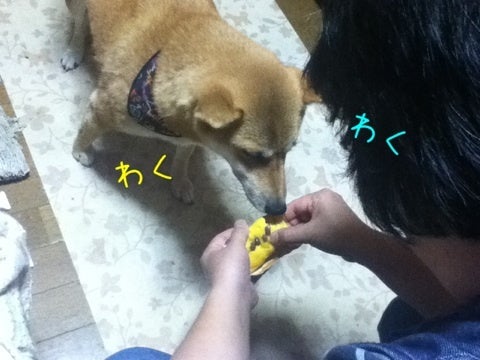 photo:03