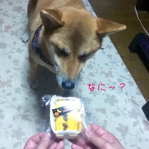 photo:01