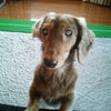 乗っかるの画像