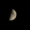 Half Moonの画像