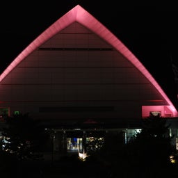 ☆o○*サ～ラ*o○☆ﾟの写真日記-95