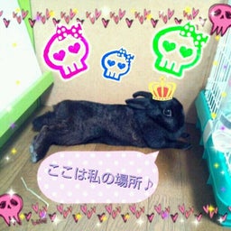 画像 ＊お気に入り＊ の記事より