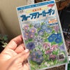 青の花園の画像