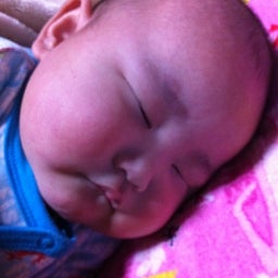photo:01