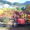 朝のドライブ～～♪　　追加の画像