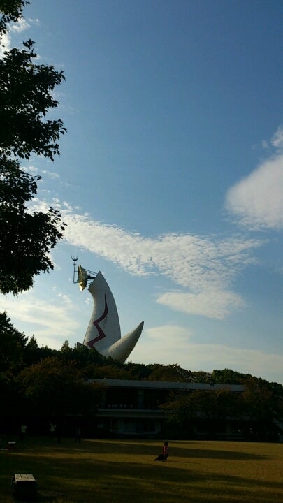 ピクニック。の記事画像