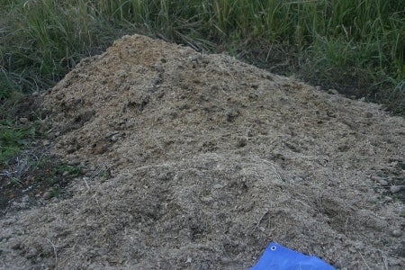 馬糞堆肥を作ってみる モーティマー日記