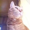 おはよう(^^;)の画像