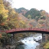 紅葉の画像