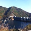 11月12日 温井ダムと裏山の紅葉とカボスなどの画像
