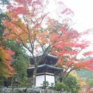 【227日目前半】日吉大社の紅葉を見て比叡山へ【滋賀】の記事より