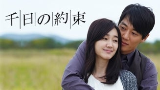 毎日泣いてしまうドラマの記事より