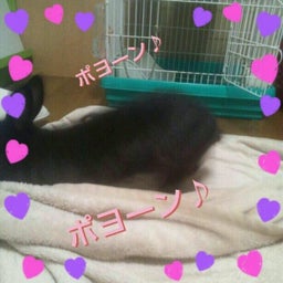 画像 ＊おしりフェチ＊ の記事より