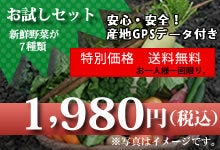 $九州野菜　ハチマルハチ