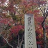 高尾山・秋…の画像