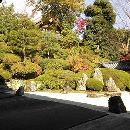 家庭教師のえーるのブログ-2012年秋　光明寺６
