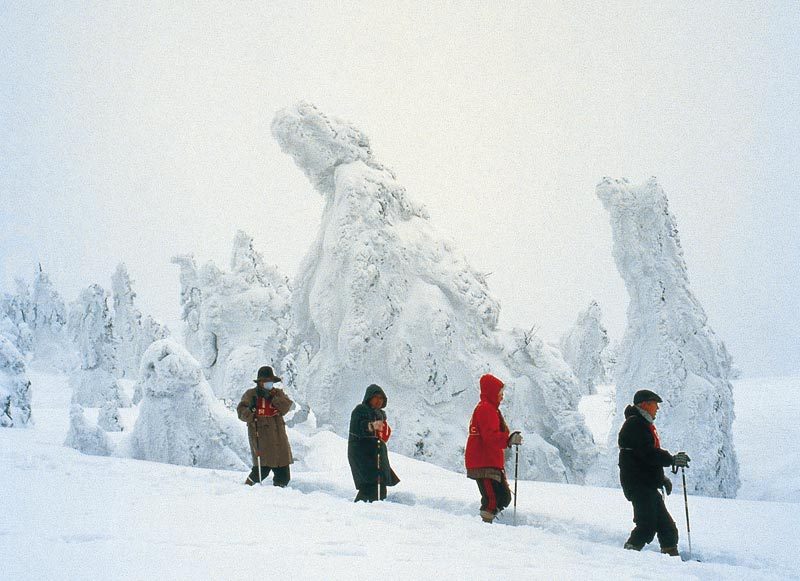 $白神山地ツアーの白神なびスタッフブログ-秋田・森吉山の樹氷見学ツアー
