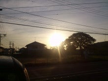 太陽のいちご原口義友のブログ-DSC_0474.jpg