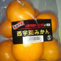 ＊RYO＊のBlog-西宇和みかん(愛媛産)