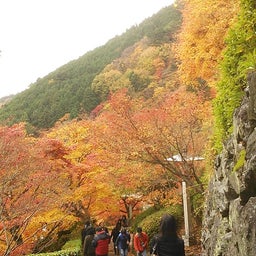 家庭教師のえーるのブログ-2012年　善峯寺６