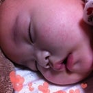明日の記事より