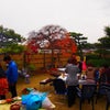 BBQdayの画像