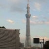 本日(14/4)のスカイツリーの画像