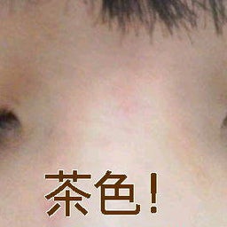 もやしおブログ-20121201102241.jpg