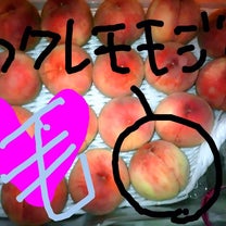 ブログ投稿画像