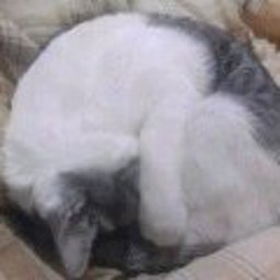 一人憐れに歩めや少女-121209_2154~01.jpg
