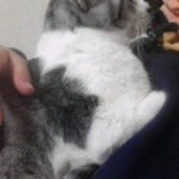 一人憐れに歩めや少女-121209_2139~01.jpg