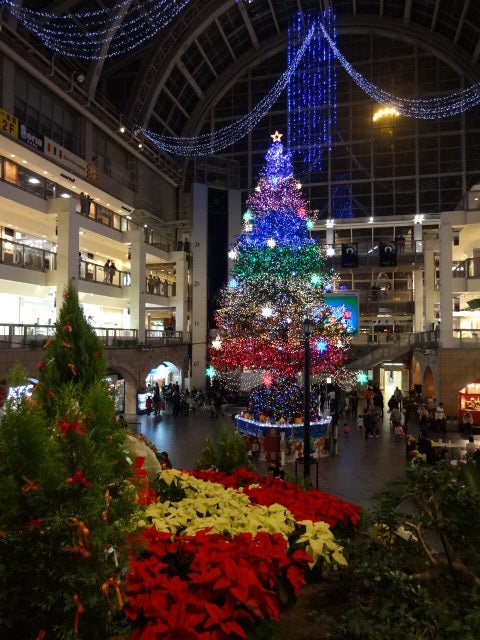 クリスマスツリーの記事より