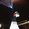 クリスマスツリーの画像