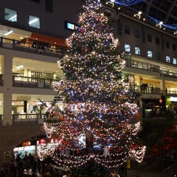 画像 クリスマスツリー の記事より 5つ目