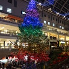クリスマスツリーの記事より