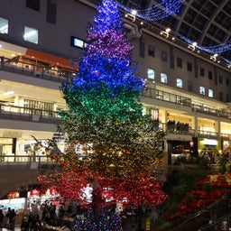 画像 クリスマスツリー の記事より 6つ目