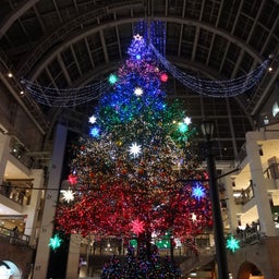 画像 クリスマスツリー の記事より 4つ目