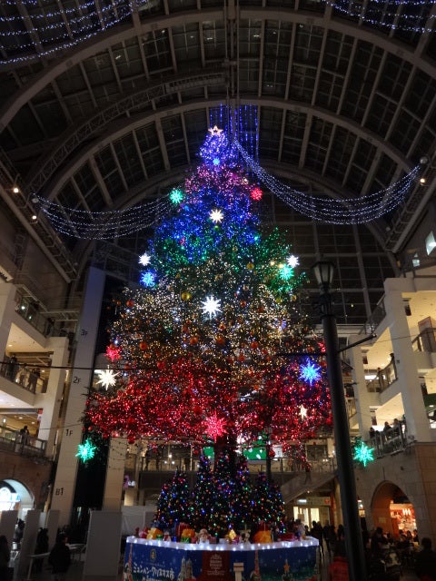 クリスマスツリーの記事より
