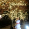 ミッドタウン☆クリスマスイルミネーションツアー⑤の画像